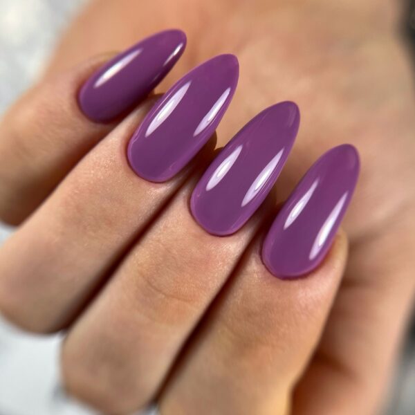 M66 - מליטה 12 מ"ל